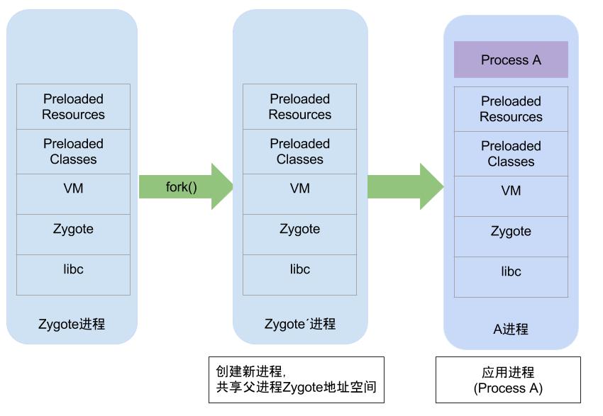 zygote_fork